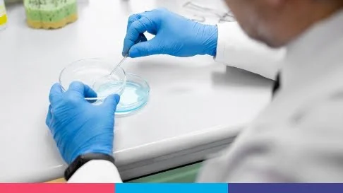 Consulta Transferencia de criopreservados