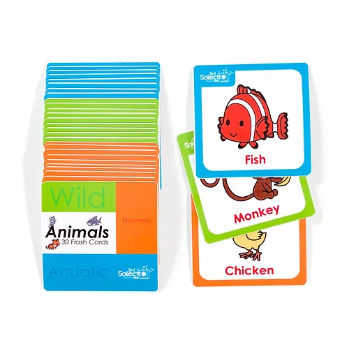 Flash Cards – TRÍO