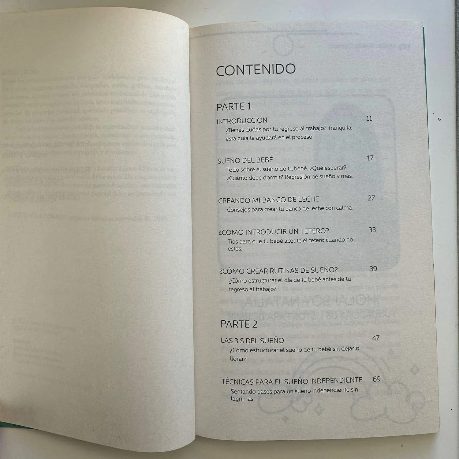 Libro mamá vuelve al trabajo