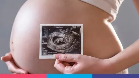 Consulta Criopreservacion de embriones