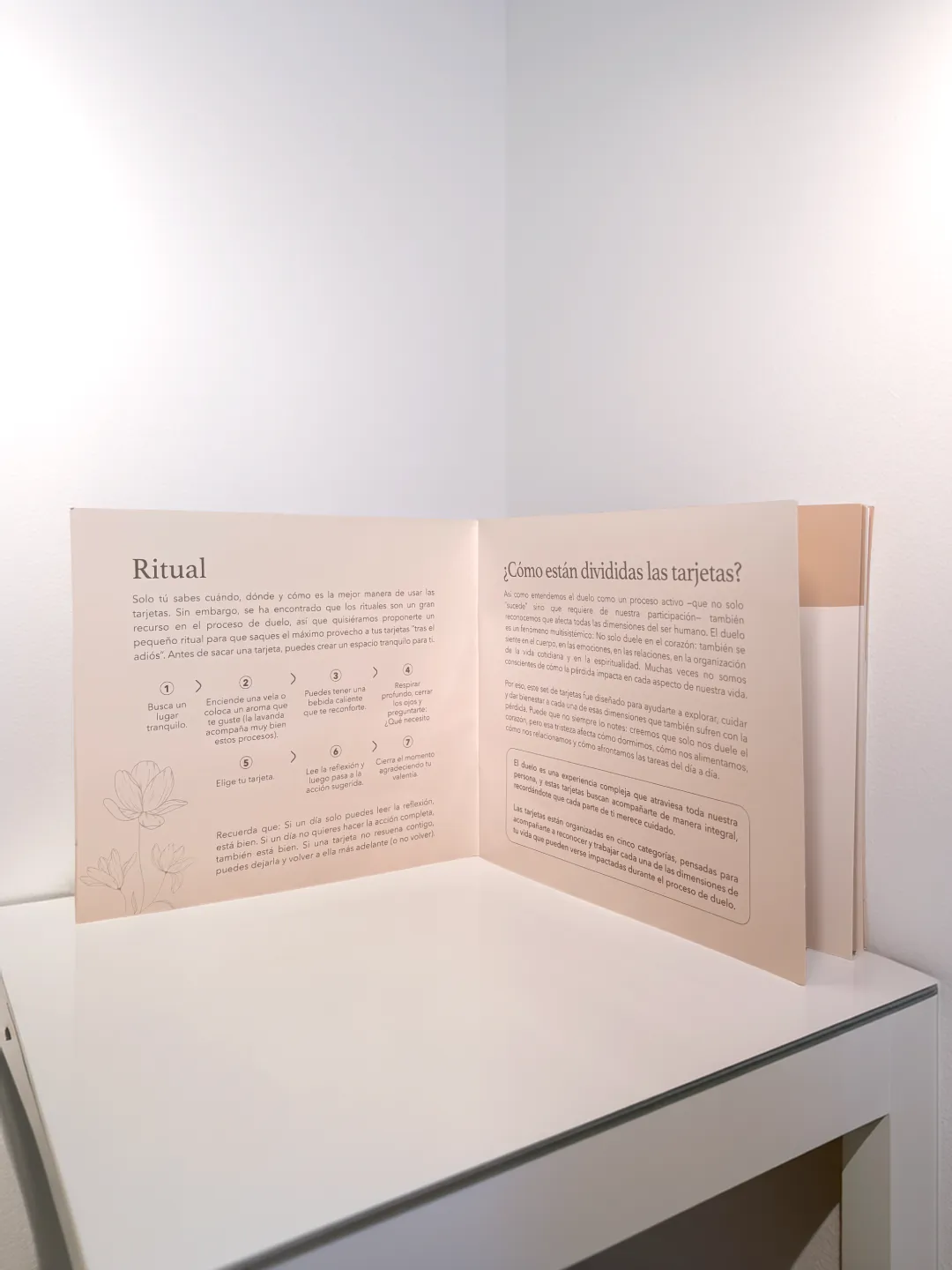 Tras el Adiós | Reflexiones y acciones para transitar el duelo