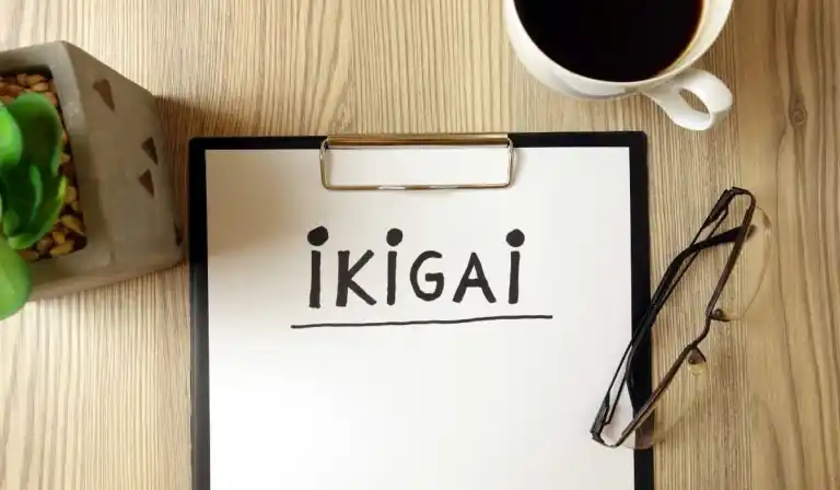 Ikigai Laboral