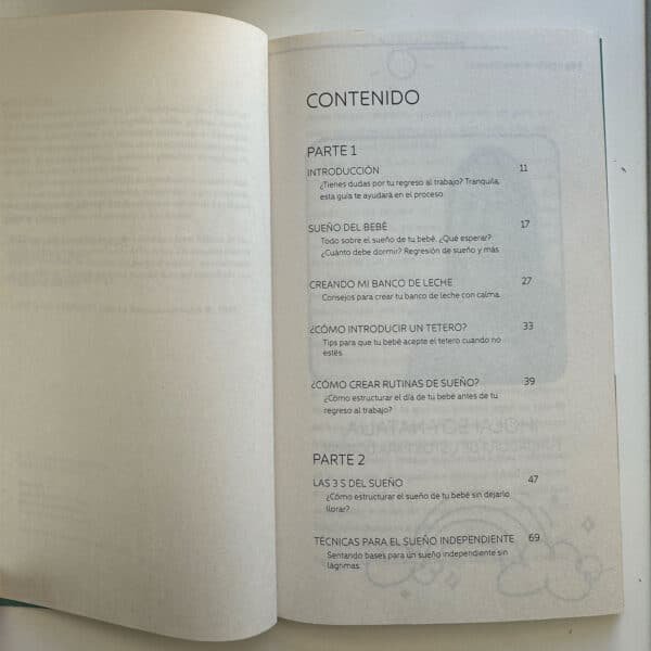 Libro mamá vuelve al trabajo